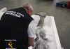 La Guardia Civil interviene 440 kilos de Atún Rojo en el polígono del Guadiel