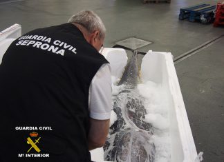 La Guardia Civil interviene 440 kilos de Atún Rojo en el polígono del Guadiel