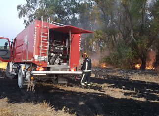 Incendio en la ribera del arroyo Salado