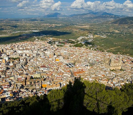 Abrimos la Puerta a la información diaria