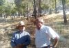Ovejas bombero demuestran en el monte de Santa Catalina la eficacia del pastoreo en la prevención de incendios forestales