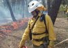 INFOCA y bomberos de Jaén controlan el incendio de las faldas del castillo
