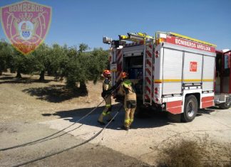 Incendio de rastrojos en la A-306