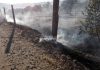 Estabilizado el incendio de la Sierra de Baños de la Encina