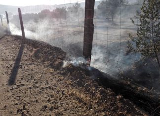 Estabilizado el incendio de la Sierra de Baños de la Encina