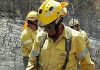 Otro incendio forestal en la Sierra de Marmolejo