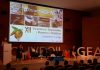 Apuesta de la Junta por la modernización del sector agrario para una mayor competitividad en el olivar