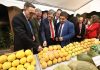 Alcaudete reúne en su Concurso Comarcal Hortofrutícola las mejores frutas y hortalizas cultivadas en la Sierra Sur