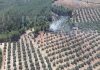 Extinguido el incendio de Pozo Alcón