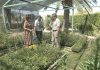La Universidad de Jaén renueva las instalaciones de su Jardín Experimental