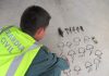 La Guardia Civil de Jaén investiga a una persona como presunta autora de un delito relativo a la Protección de la Flora y Fauna