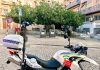 Infracción por coger la fruta de los árboles de la Plaza Cervantes