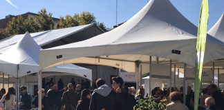 La V Fiesta del Primer Aceite arranca el sábado en Úbeda con una degustación de 82 AOVE jiennenses de esta cosecha