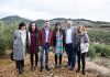 Adelante Andalucía propone una Ley de Agricultura que regule la apropiación de los beneficios por parte de las gran