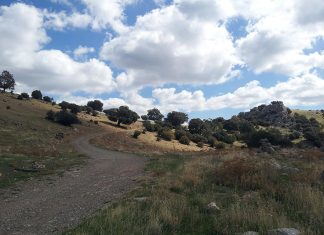 Un hombre de 83 años fallece en un incendio en Valdepeñas de Jaén