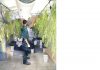 La Guardia Civil incauta en Jimena 210 plantas de cannabis