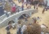 Belén tradicional en los Bomberos de Jaén