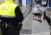 Capturan a un perro agresivo que andaba por Las Protegidas