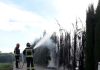 Otro incendio en los cipreses del Bulevar