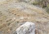 El Ayuntamiento valora la actuación de la Policía Local al intervenir en dos pozos descubiertos sin medidas de seguridad en el carril de Pago de Juan Ramos