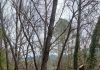 Limpieza en las zonas de acampada en el Parque de Cazorla, Segura y Las Villas