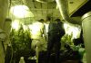 Detenido a un vecino de los Villares por una plantación de marihuana
