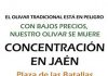 Más de 5.000 olivareros se esperan en la manifestación de Jaén