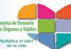 Convocatoria del premio de periodismo Luis Portero para reconocer la promoción de la donación de órganos y tejidos