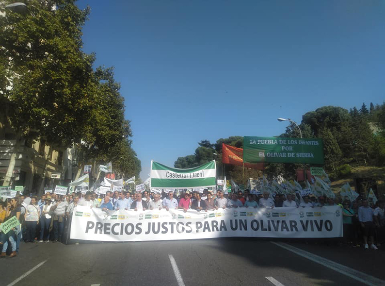 Unos 20.000 agricultores piden en Madrid precios justos para el aceite de oliva