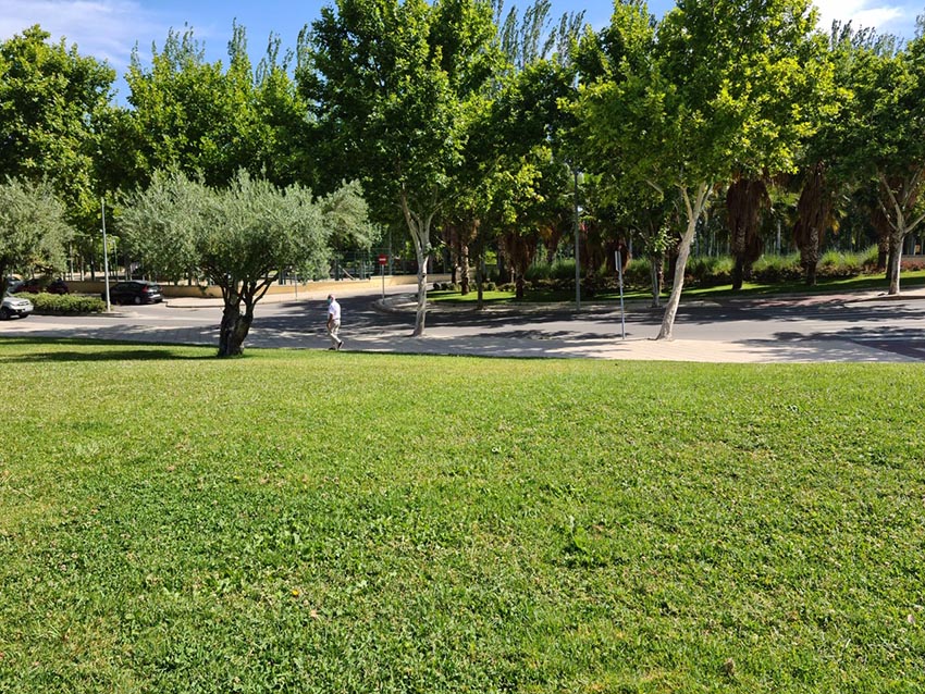Jaén propondrá una zona verde de Las Fuentezuelas como emplazamiento para el monumento a los trabajadores de servicios esenciales