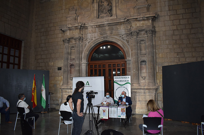 Cultura y las peñas llevan el flamenco a 13 municipios con “A la verde Oliva”