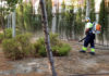Labores de adecuación de distintas zonas verdes de Jaén