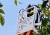 Rescate de un ave rapaz en Puente de Tablas