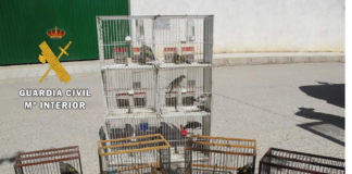 La Guardia Civil investiga a cinco personas como presuntas autoras de un delito contra la fauna