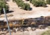 Los bomberos de Jaén sofocan un incendio de maleza en la A-44