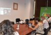 Agricultura y Salud avanzan en el dispositivo para una recolección segura de la aceituna junto con el sector agrícola