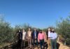 El presidente de la Diputación visita la finca El Valenciano para conocer prácticas sostenibles e innovadoras en el olivar