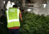 La Guardia Civil ha detenido a una persona en Jaén por cultivo de marihuana