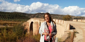 El PP saca adelante la PNL para exigir al gobierno de España que declare BIC el Puente Ariza y retome el proyecto para su restauración y traslado