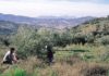 Desciende el paro en la provincia en el mes de octubre