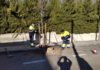Trabajos de recuperación de zonas verdes con la plantación y reposición de 280 árboles en una treintena de calles