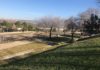 Mantenimiento Urbano y Medio Ambiente crearán dos nuevos parques caninos