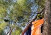 Los Bomberos de Jaén «liberan» un camión atrapado entre árboles en el Megatín