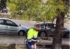 El Ayuntamiento intensifica los tratamientos para hacer frente a la aparición de la oruga de hierba en praderas y prosigue con las labores de endoterapia contra la procesionaria del pino