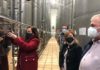 Apuesta por la calidad realizada por los olivareros jiennenses para colocarse en la vanguardia del sector