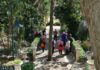 Visitas guiadas a las Casas Gemelas