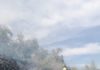 Bomberos del Plan Infoca sofocan el incendio en Bedmar