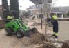 Reposición de alcornoques en el Parque del Bulevar