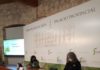 El IEG publica “Escritoras Aceituneras”, una obra que pone de relieve la presencia del olivo en la literatura