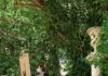 29 participantes disfrutan con el arte y la naturaleza en el concurso de Pintura al Aire Libre “Primavera en Jabalcuz”